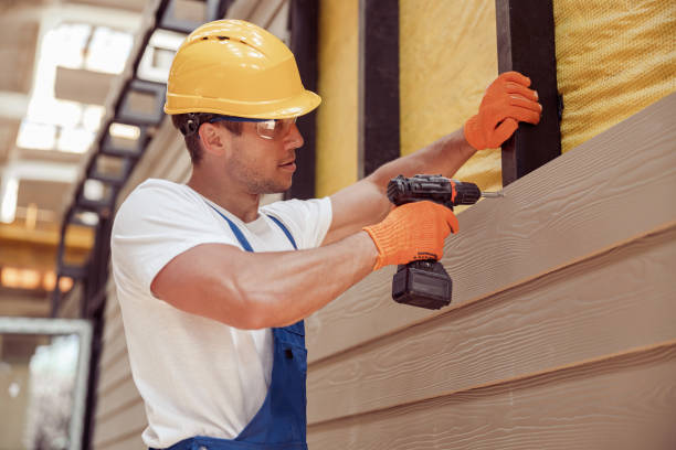 Best Fascia and Soffit Installation  in Brownstown, IN