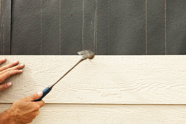 Best Fiber Cement Siding Installation  in Brownstown, IN